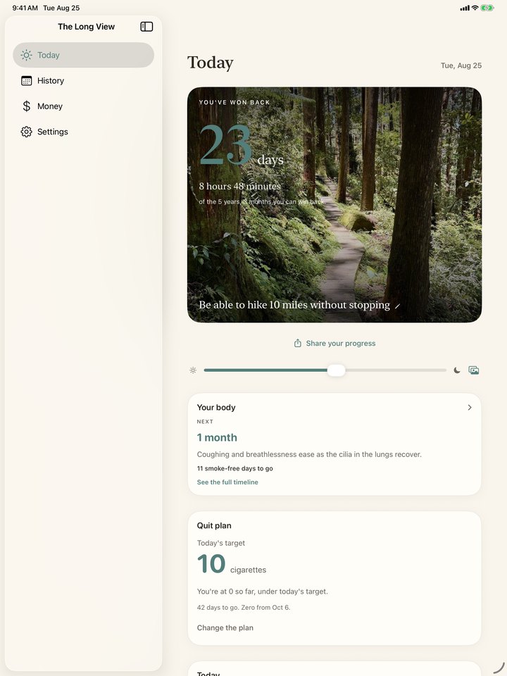 The Long View on iPad, with the sections in a sidebar beside the same screen: 23 days won back over the reason photo, the next health milestone and the quit plan.