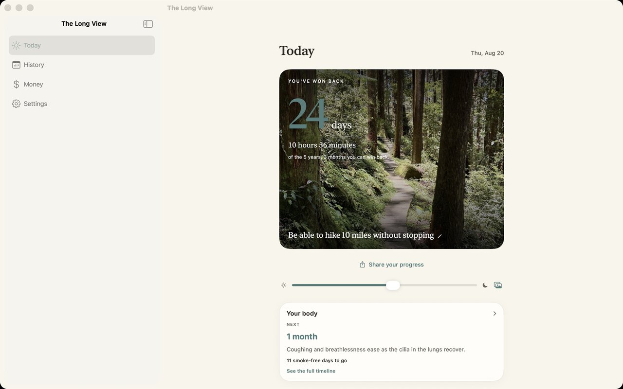 The Long View on Mac: a sidebar of sections beside the day's number, the reason photo, the quit plan and today's check-in.